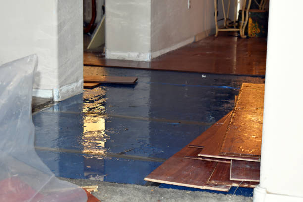 Professional Flood Damage Repair technician working in Burton, TX